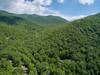 Aerial of One Acre Wood and Montreat.