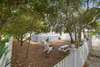 ADIRONDACK SEATING IN BACK YARD