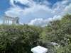 VIEW OF BEAUTIFUL GREENERY AND SKIES