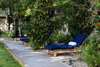 LOUNGE CHAIRS ALONG THE LAWN OF THE COURT