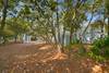ON A RARE DOUBLE LOT WITH PLENTY OF OUTDOOR SPACE ON A RARE DOUBLE LOT WITH PLENTY OF OUTDOOR SPACE