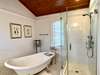 MASTER BATH DEEP SOAKER TUB & GLASS ENCLOSED WALK IN SHOWER