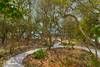PERFECT PRIVATE GARDEN AREA TO EXPLORE PERFECT PRIVATE GARDEN AREA TO EXPLORE