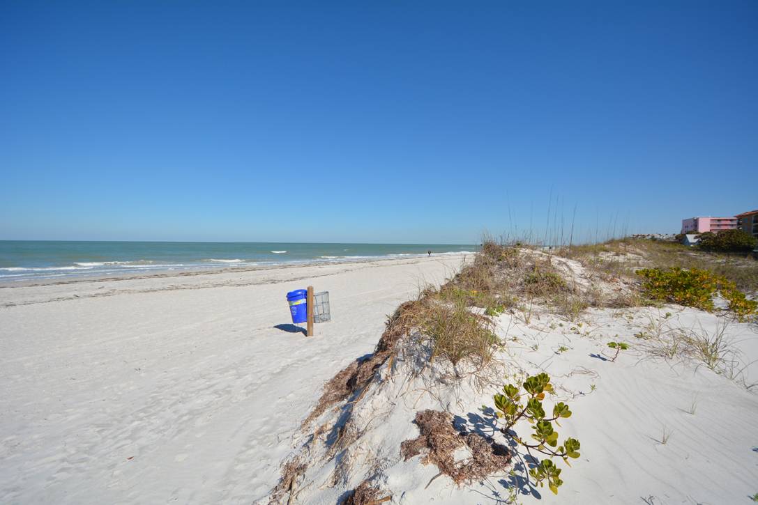 Patio Palms The Seaside Property Shoppe