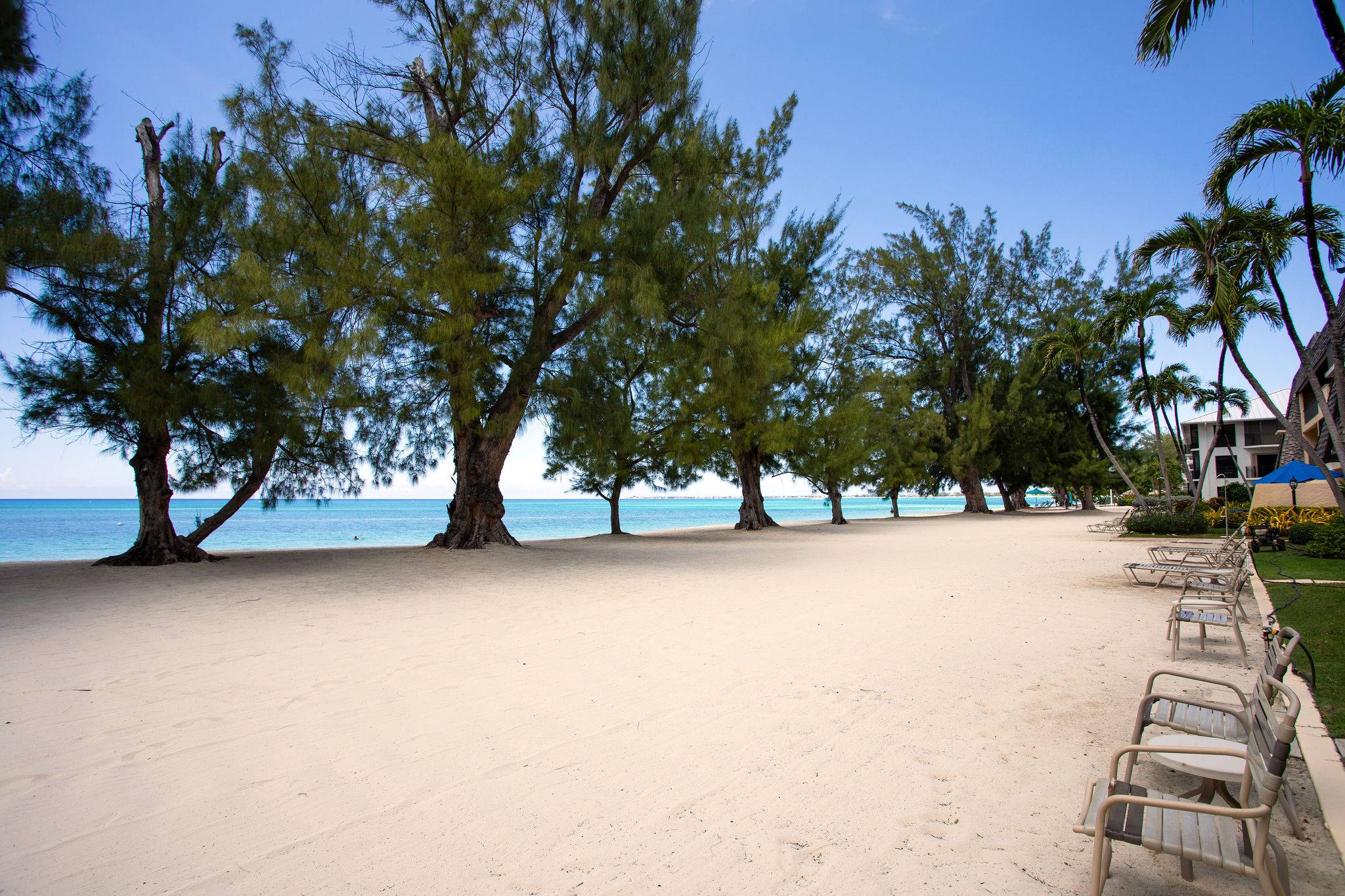 Beach view from patio