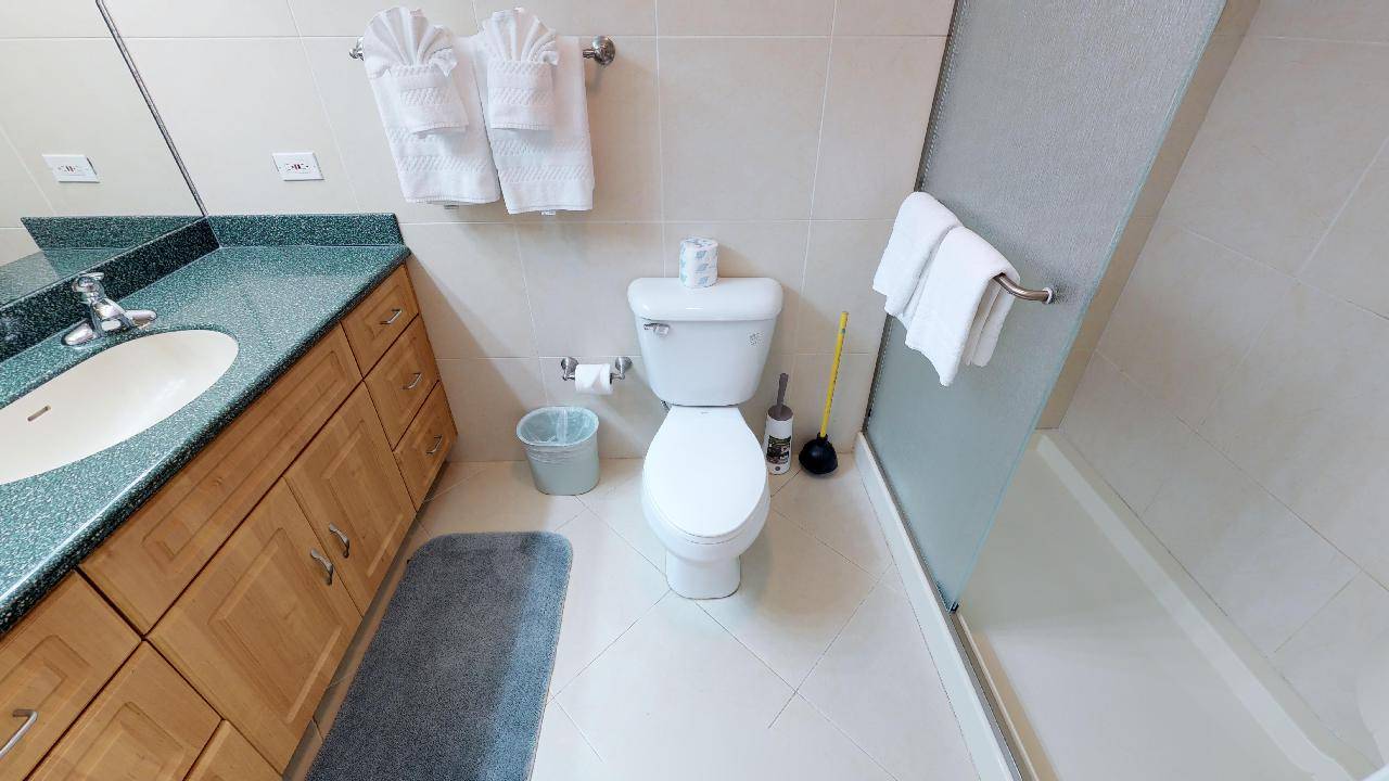 Guest bathroom
