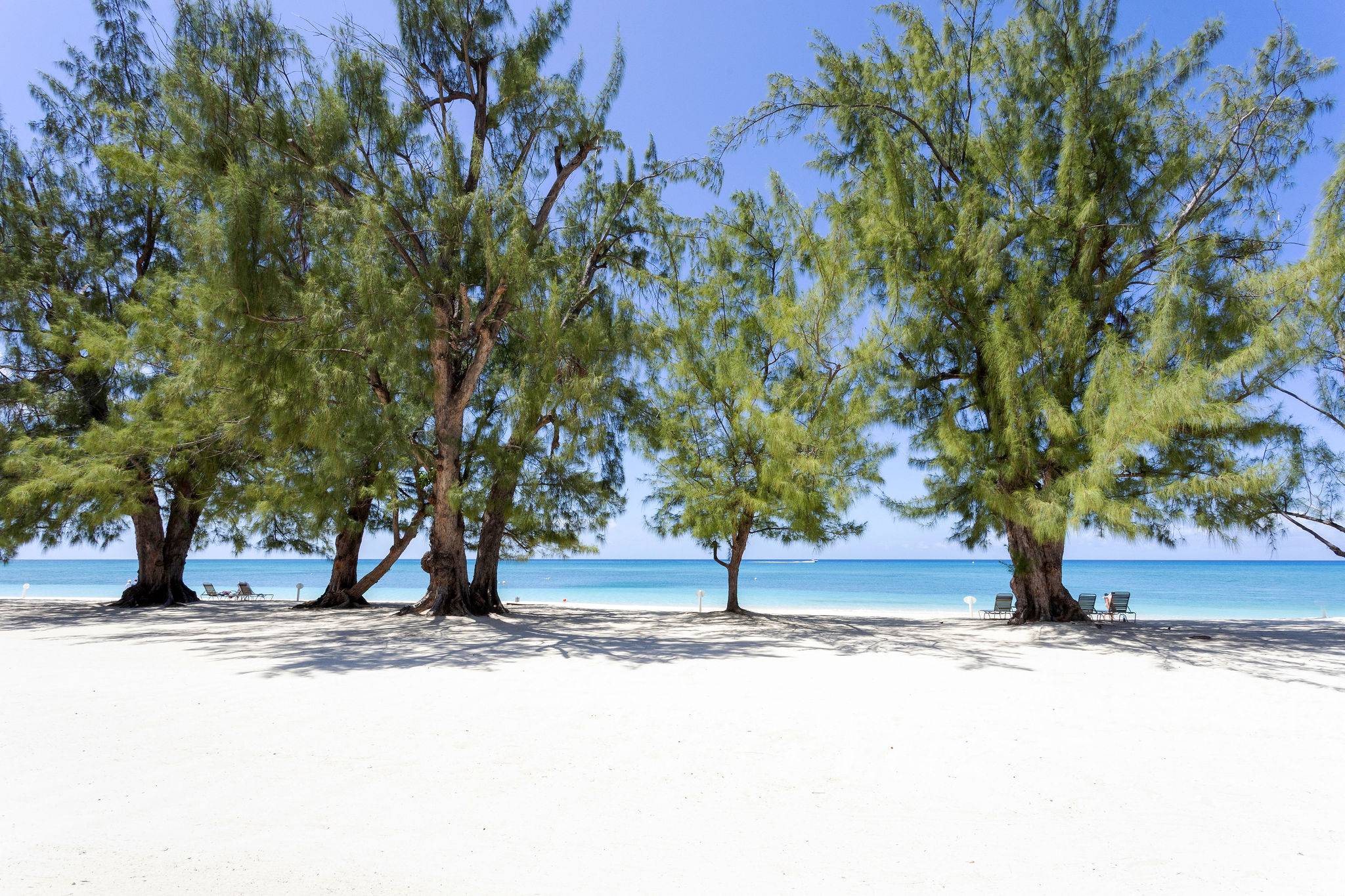 Spectacular 7 Mile Beach - Enjoy! 