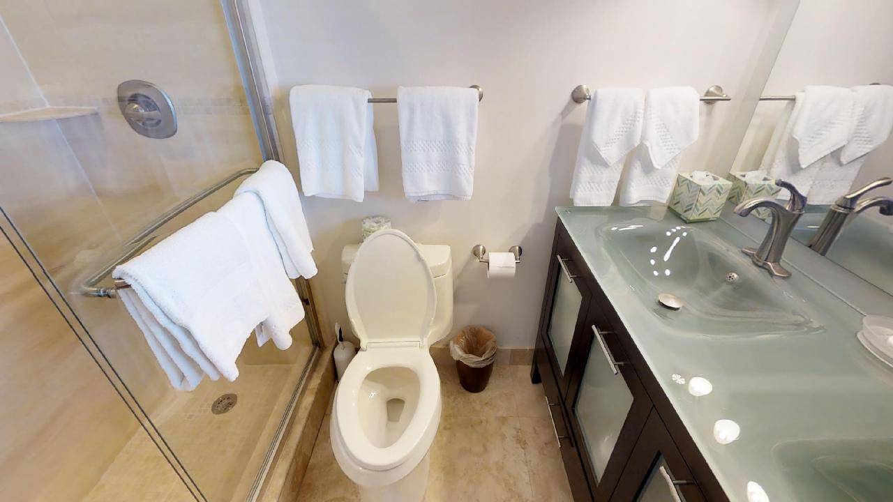 Guest bathroom