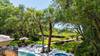 20 Sea Oak