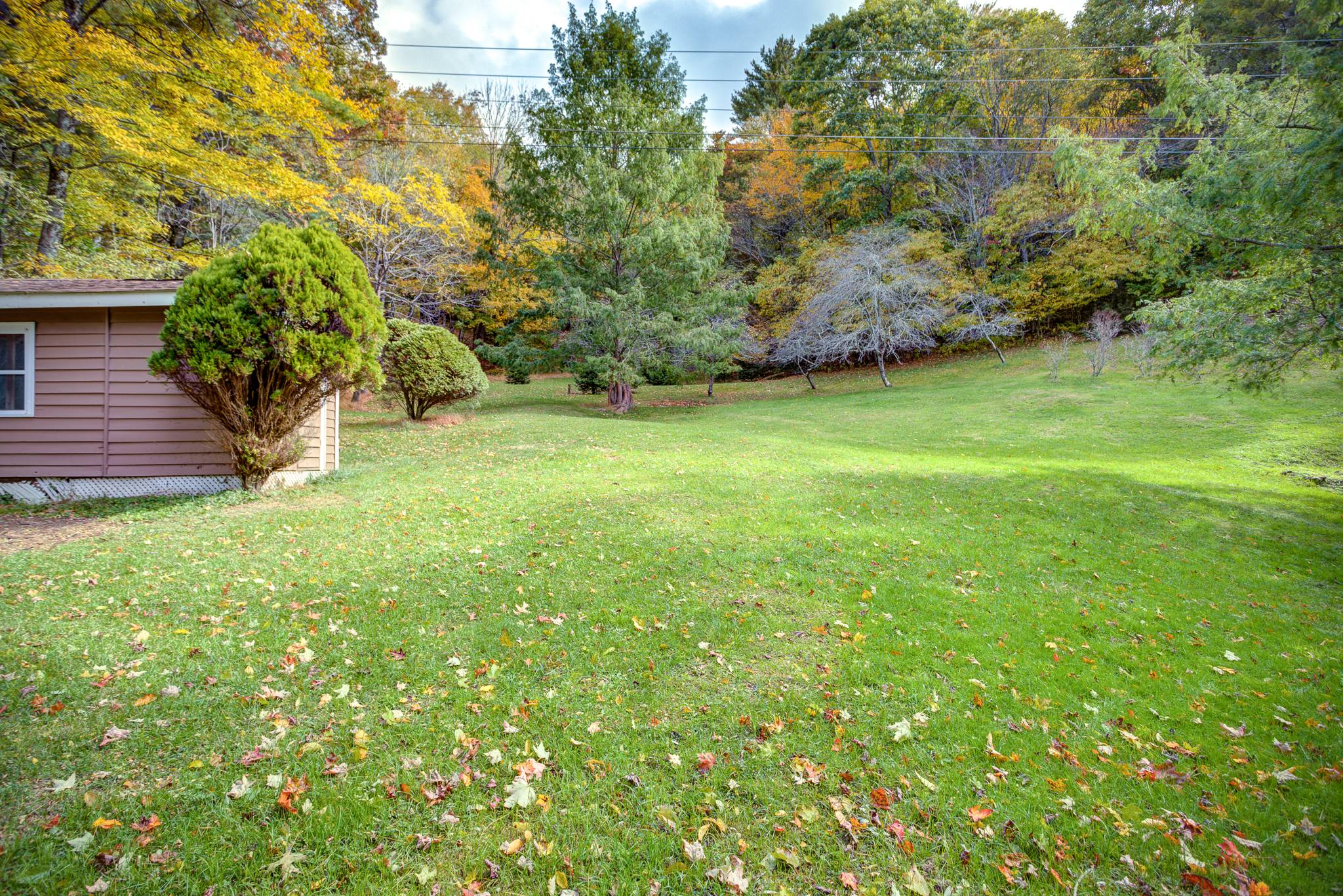 Chestnut Hollow Jenkins Rentals