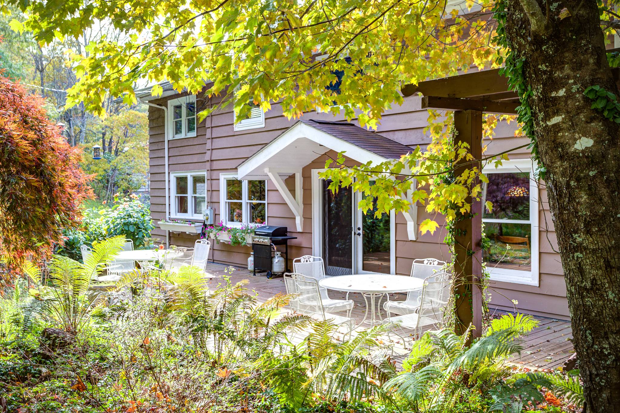 Chestnut Hollow Jenkins Rentals