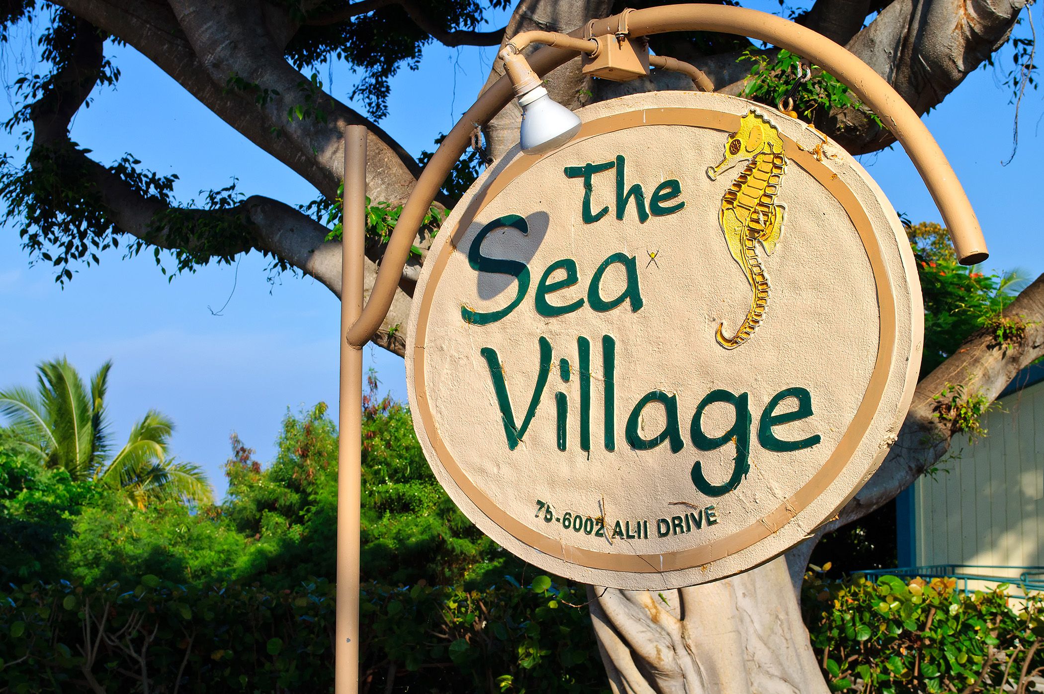 Sea Village #3-203 | Knutson & Associates