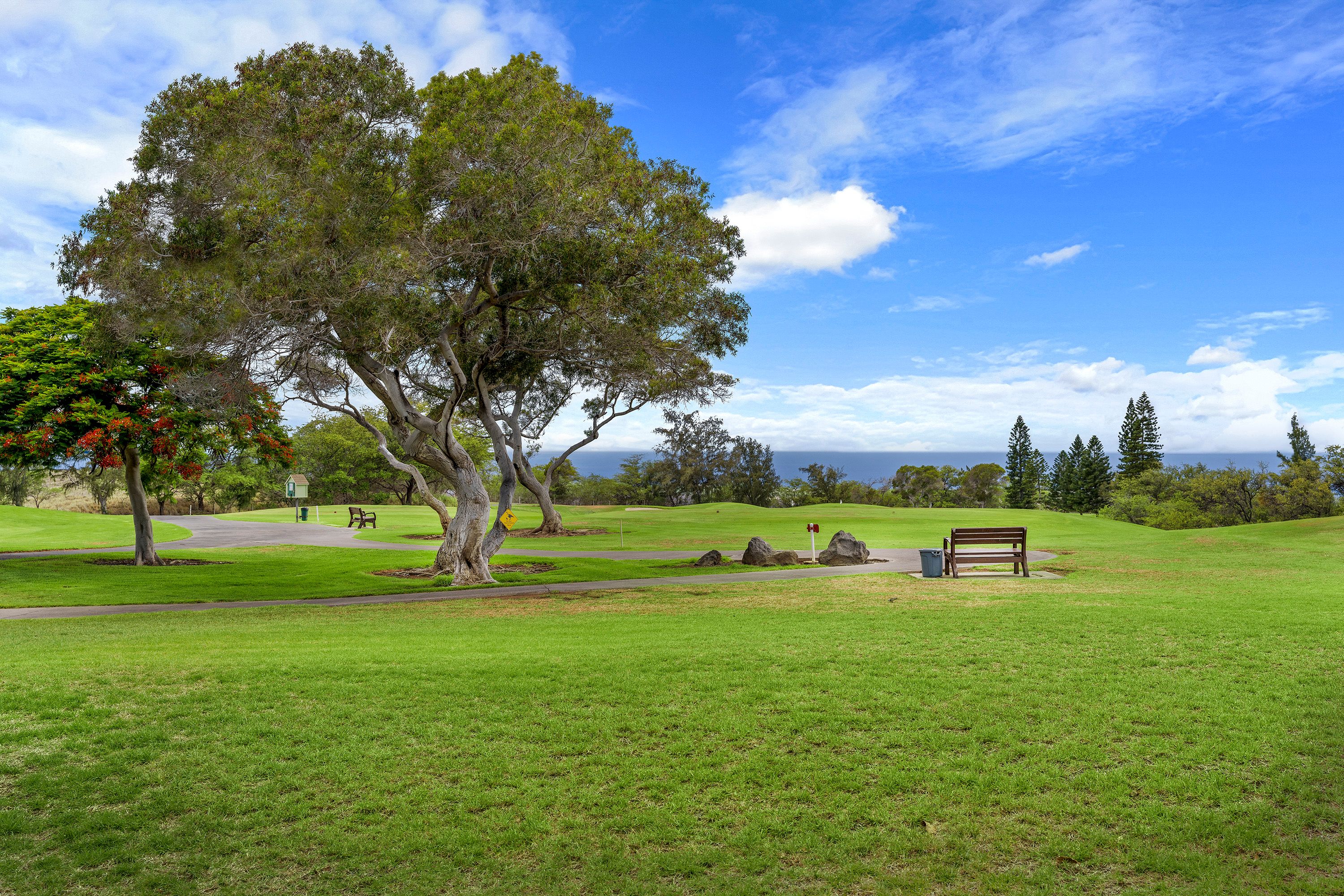 Waikoloa Village Condos E10 Knutson & Associates