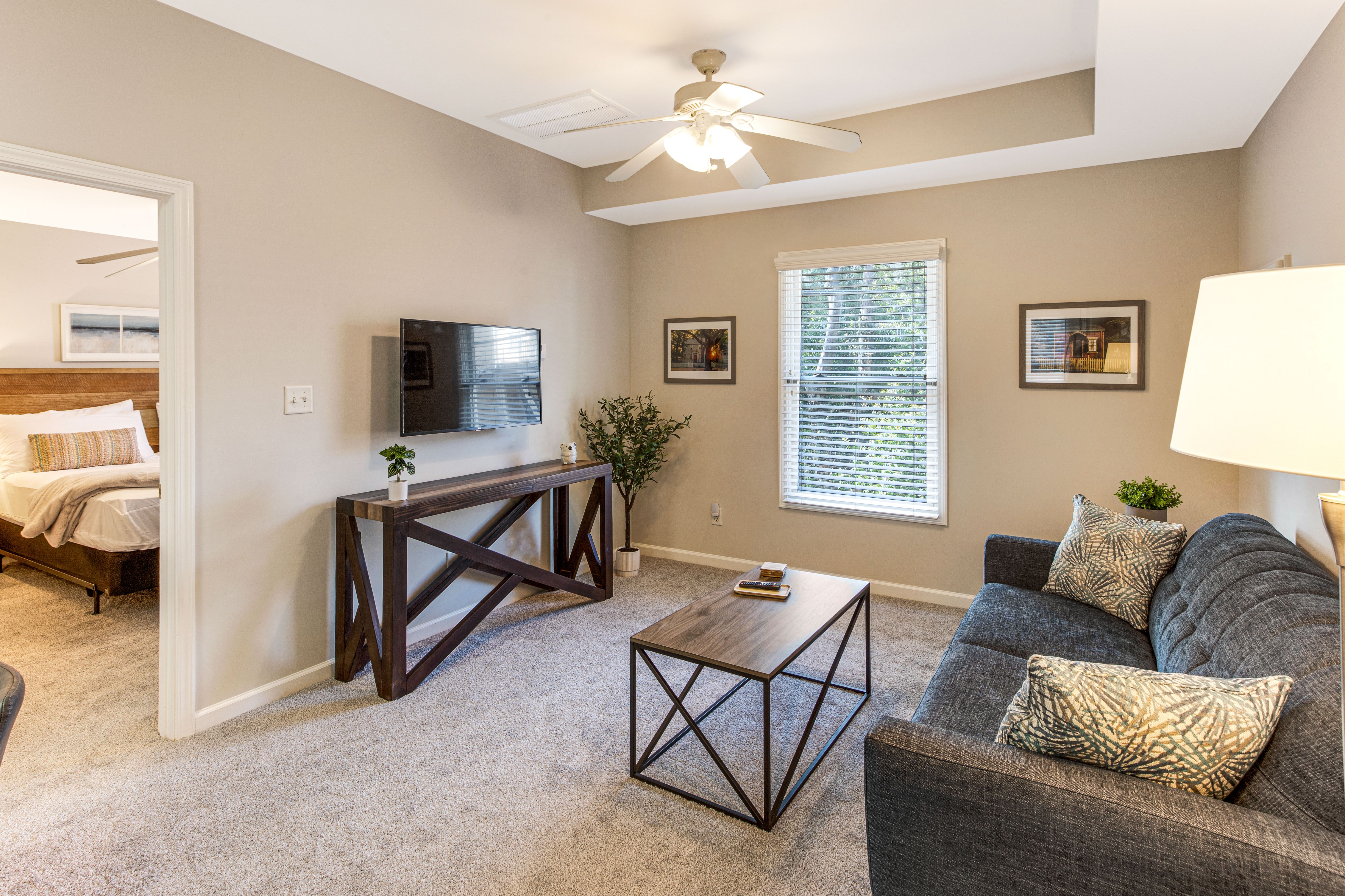 Savannah Pet Friendly Vacation Rentals Lucky Savannah