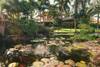 pond