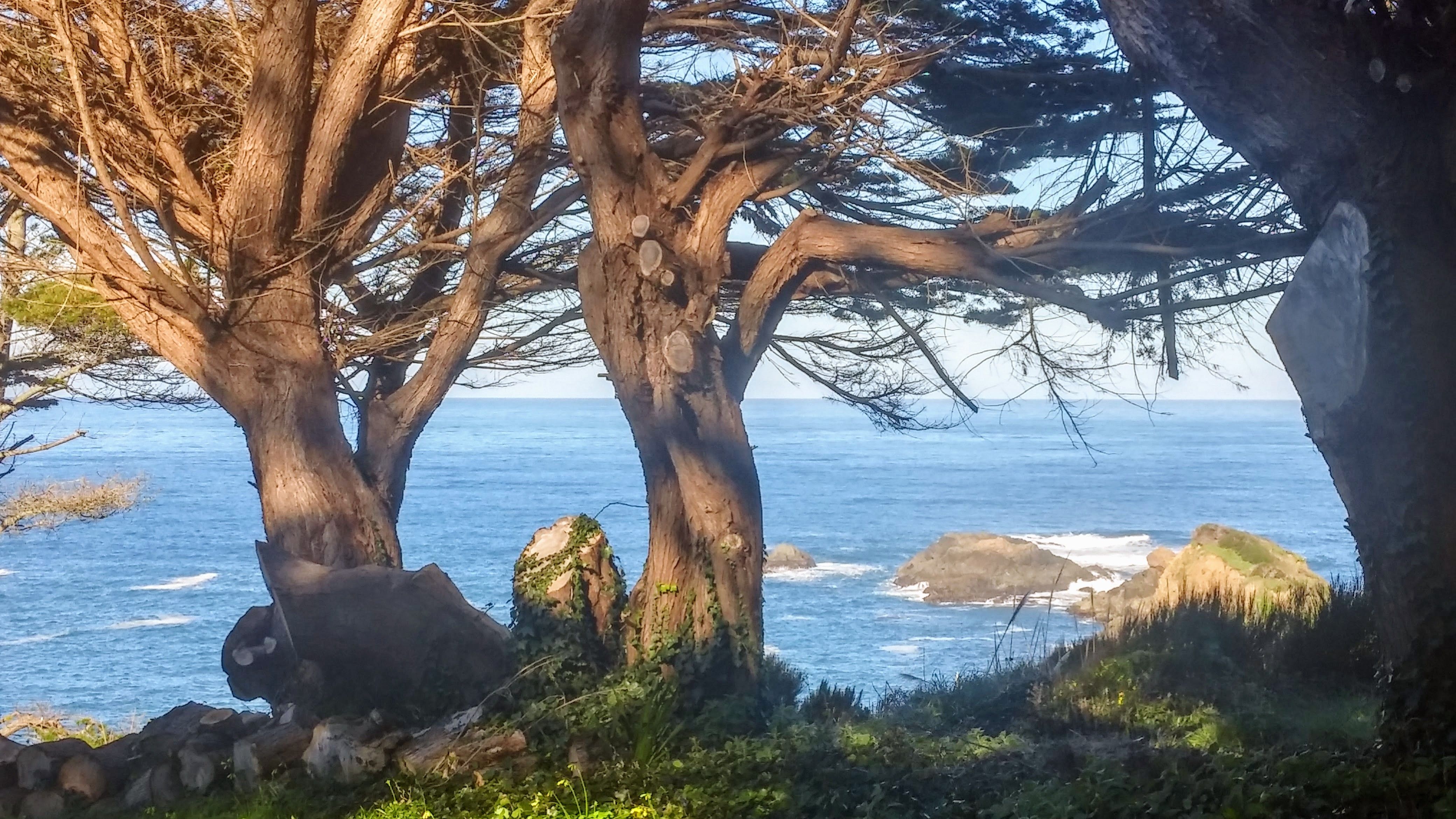 Mendocino's Historic McCloud House Mendocino Preferred Vacation Home