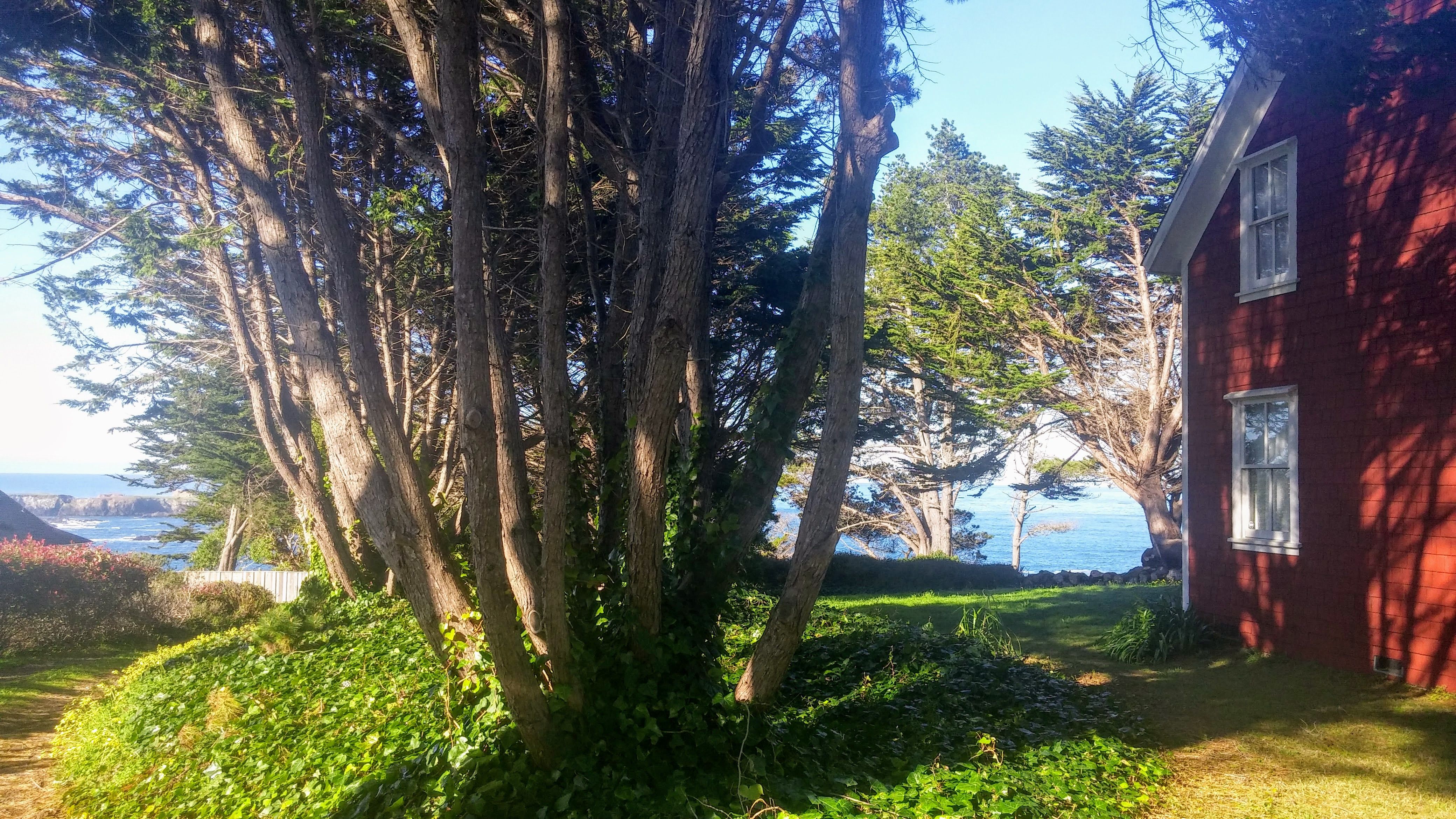 Mendocino's Historic McCloud House Mendocino Preferred Vacation Home