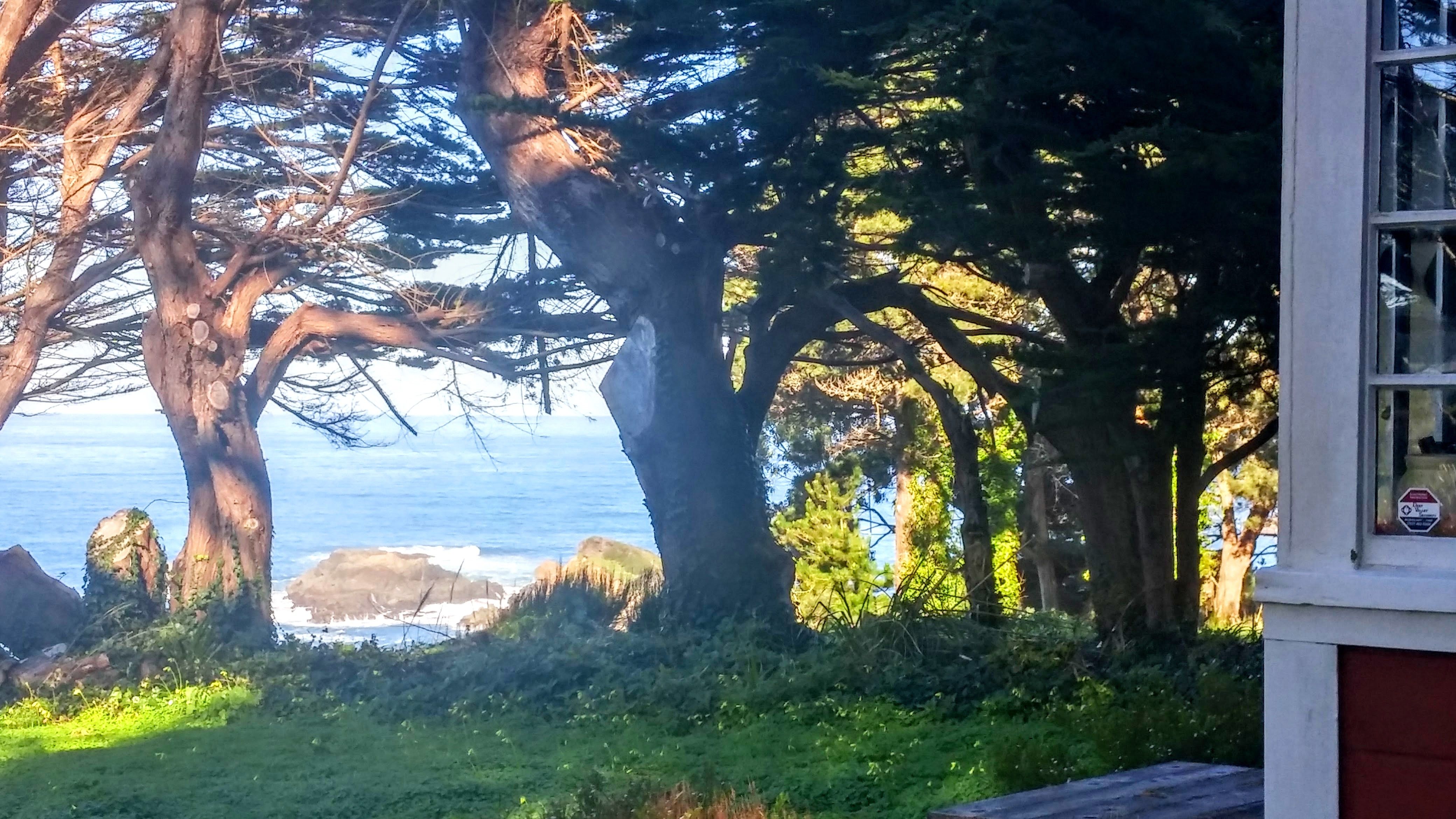 Mendocino's Historic McCloud House Mendocino Preferred Vacation Home