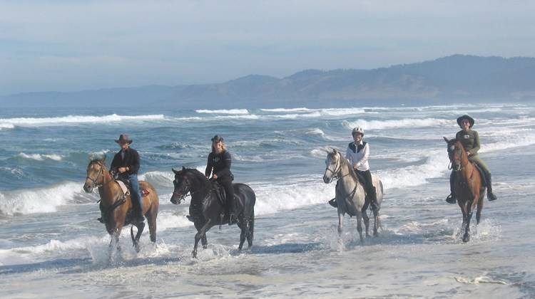 Ricochet Ridge Ranch is less than .5 miles away offering trail ride on the beach, a once in a lifetime experience!