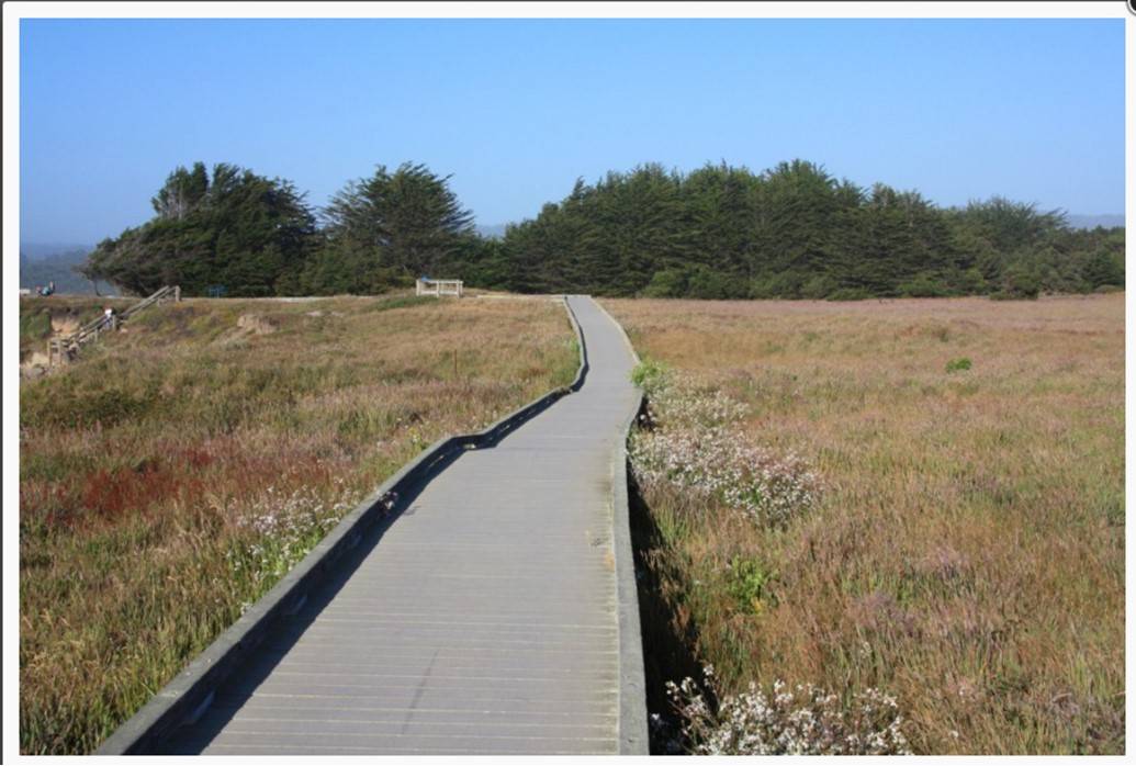 Boardwalk -Photo courtesy of californiabeaches.com