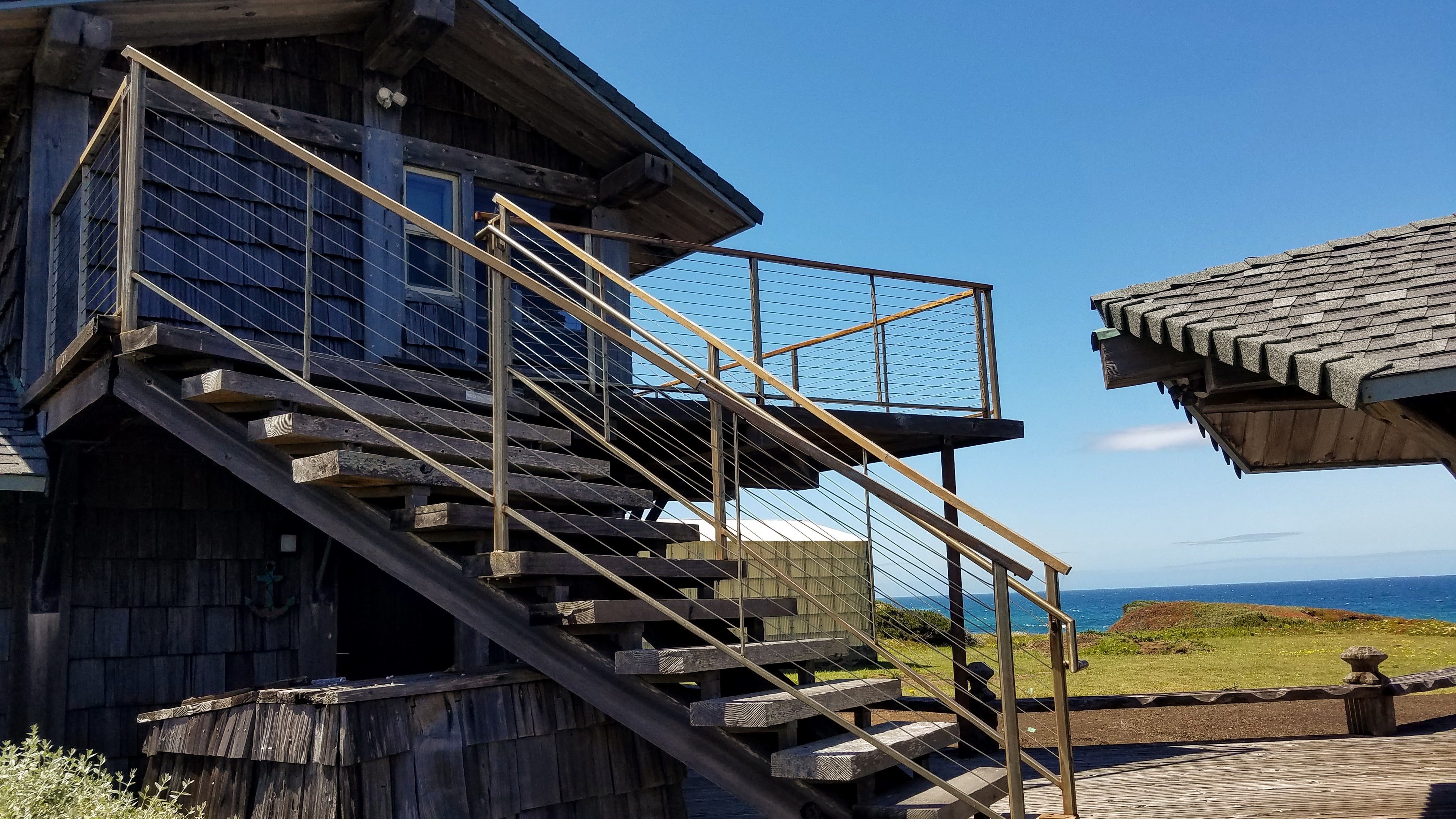 pet paradise rio rancho webcam