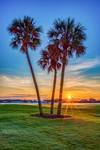 Resort Golf Sunset