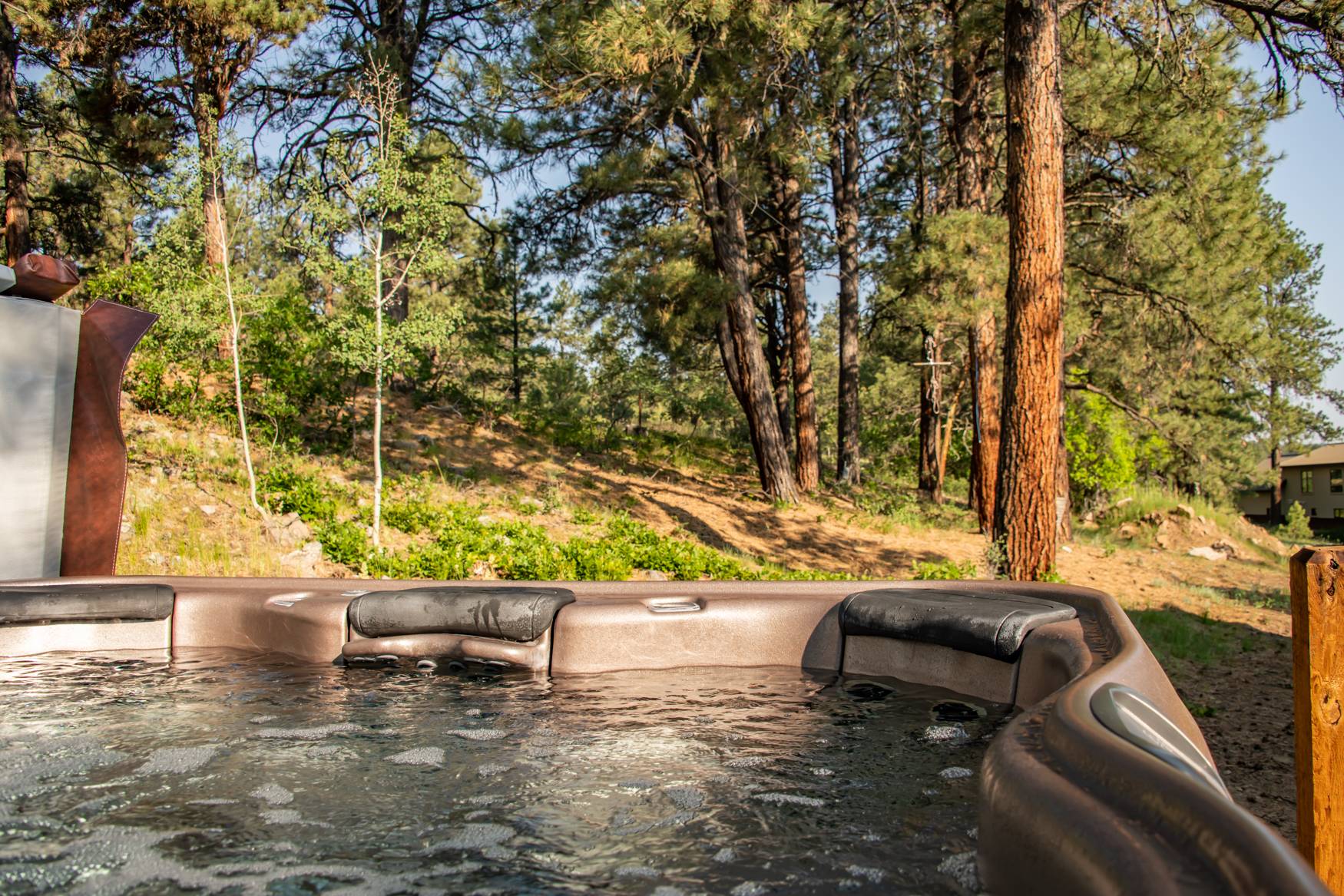 Antler Mountain Pagosa Vacation Homes
