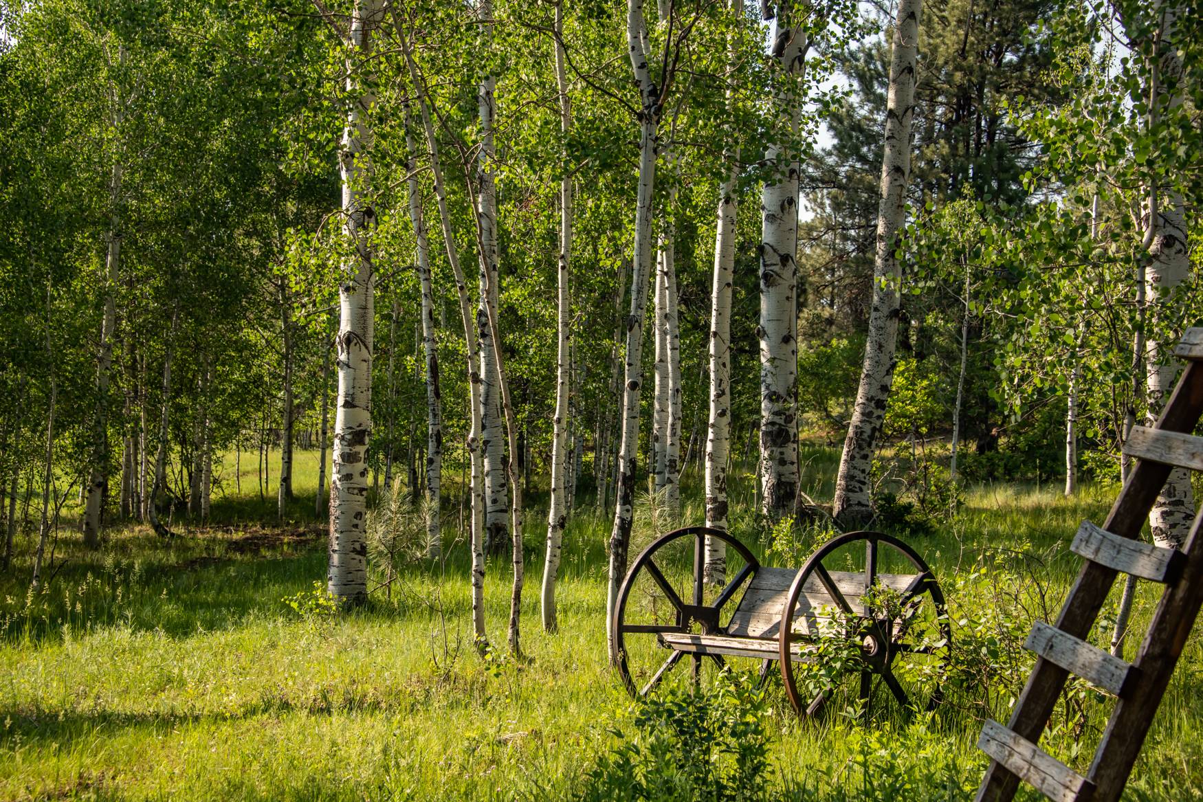 Antler Mountain Pagosa Vacation Homes
