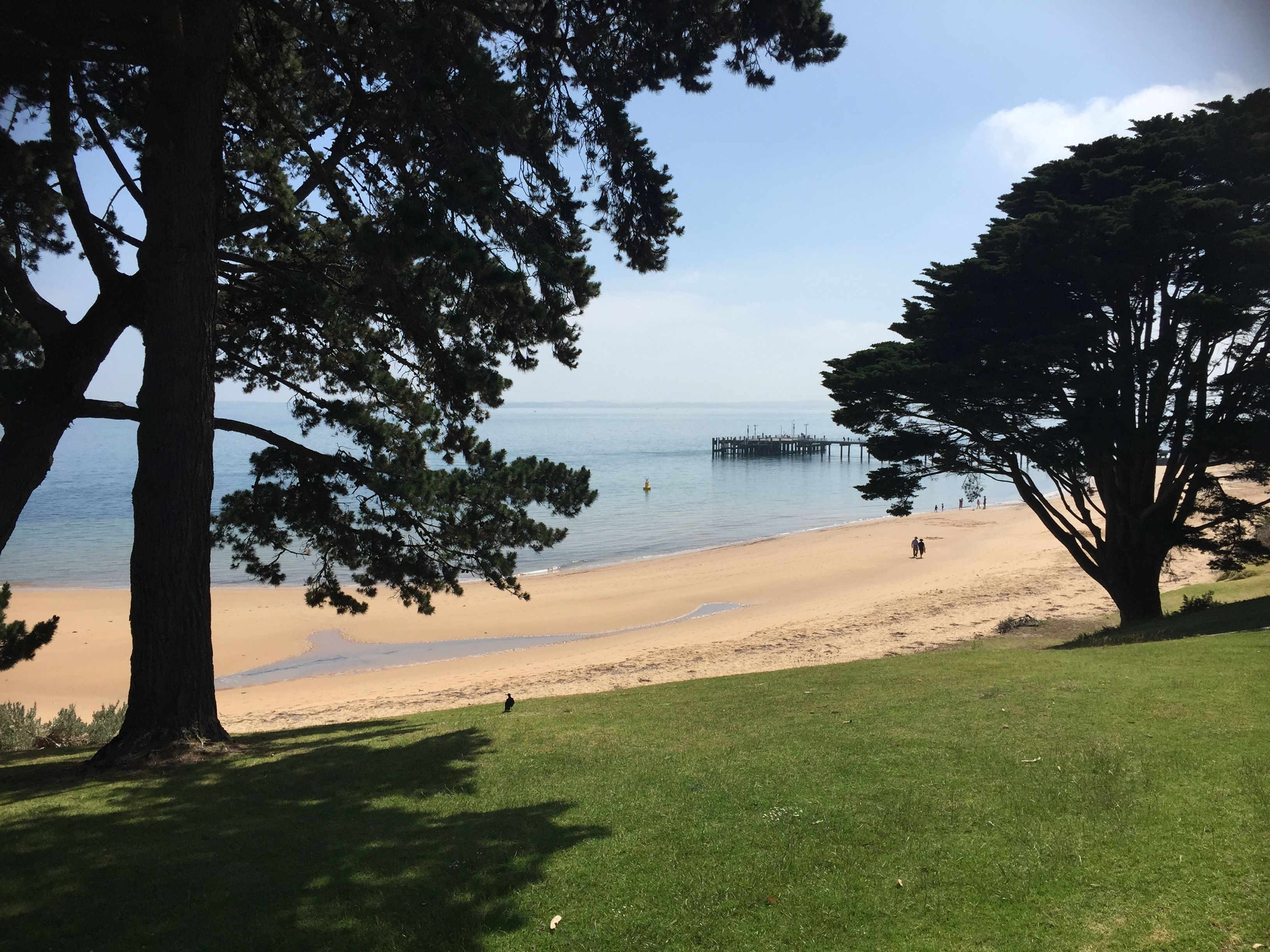 45 Anderson Road, Cowes Phillip Island Holiday Houses