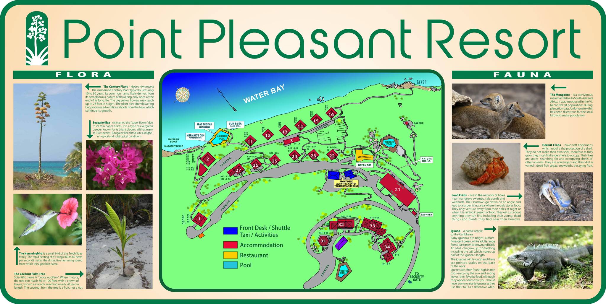 Resort map Resort map