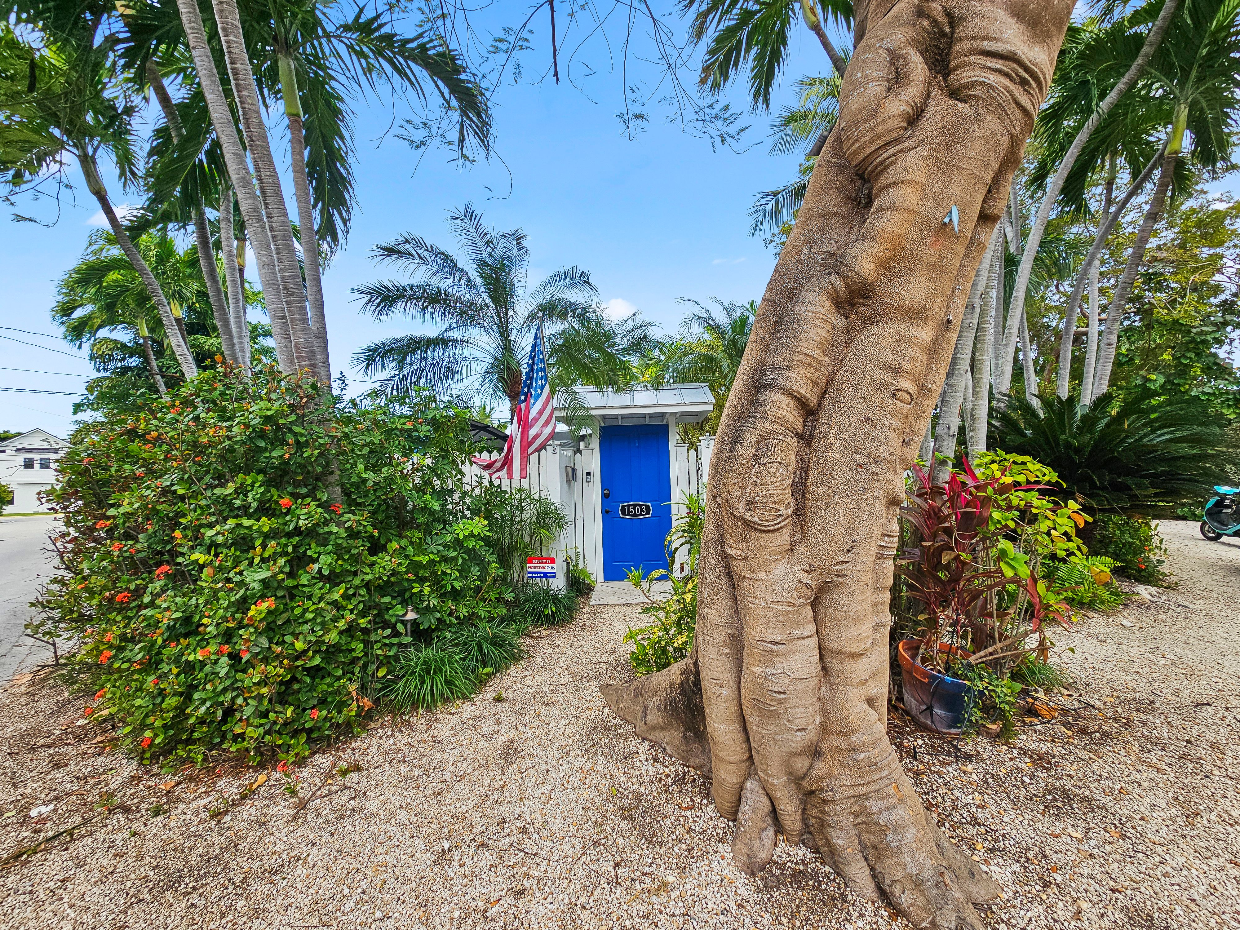 Additional parking on corner lot