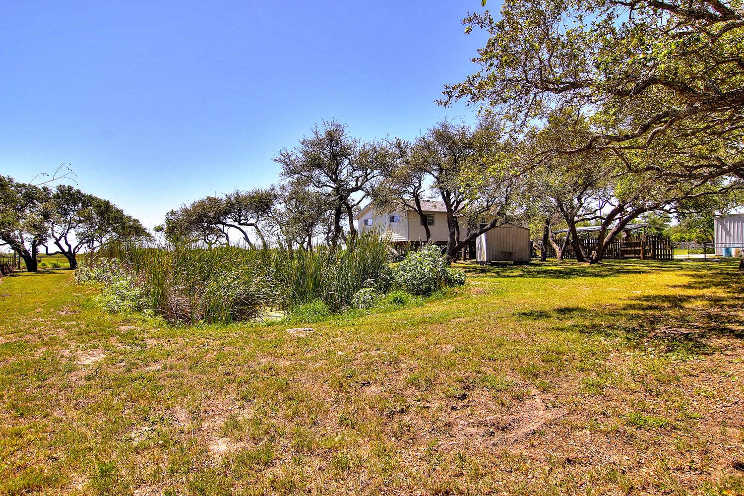 Backyard