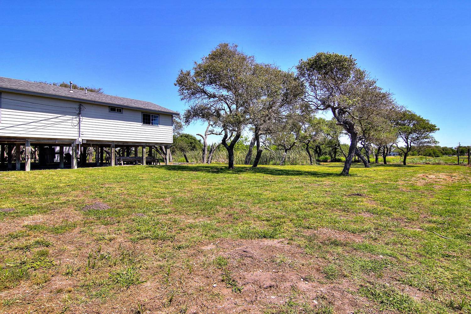 Side Yard