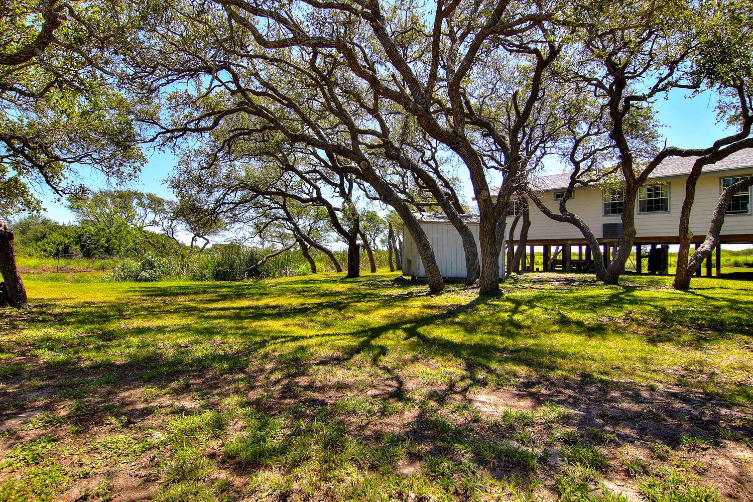 Side Yard