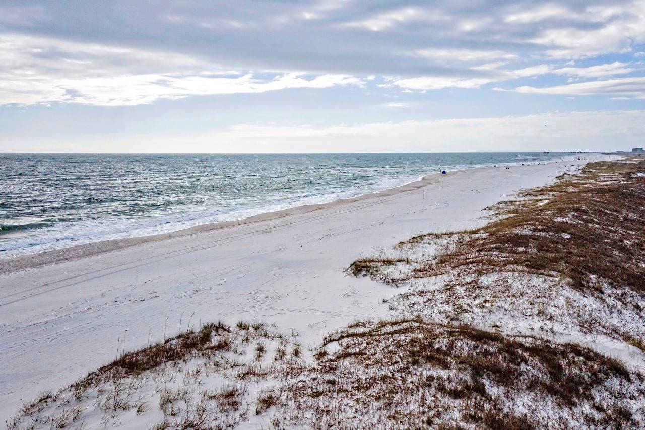 22748 Perdido Beach Blvd | Signature Properties