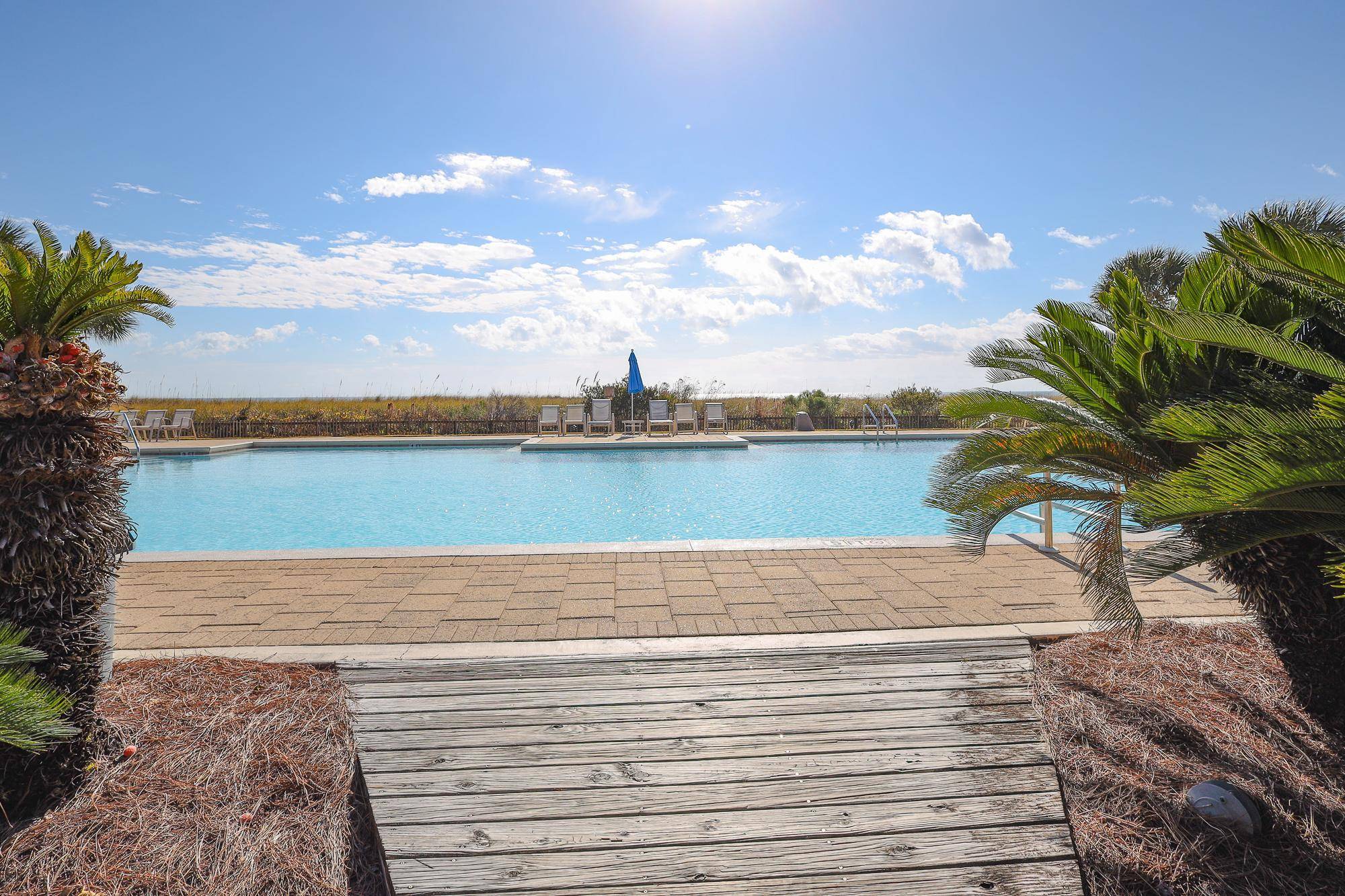 Needle Rush B11 - Perdido Key, FL - Signature Properties