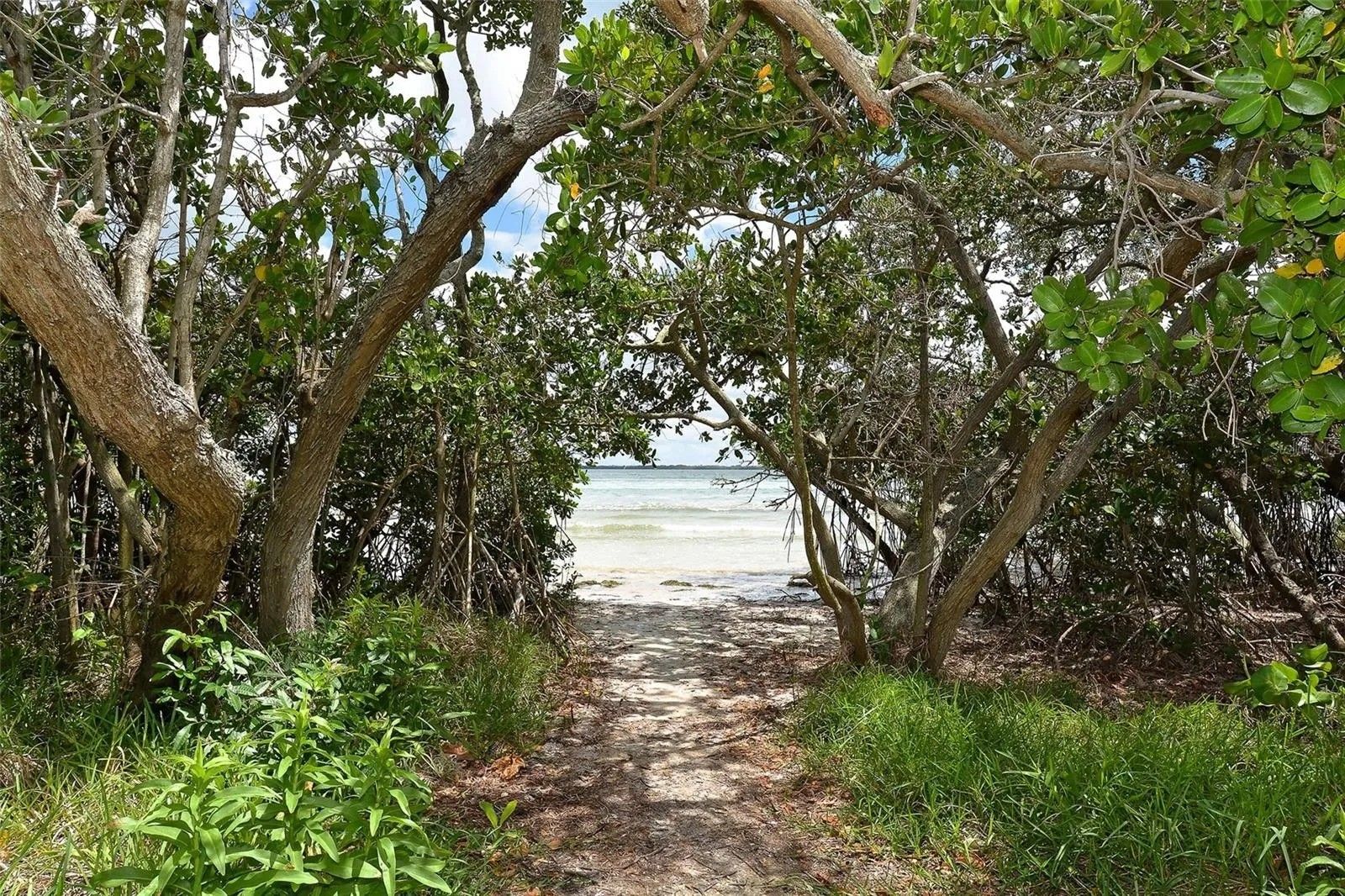 Beach Access