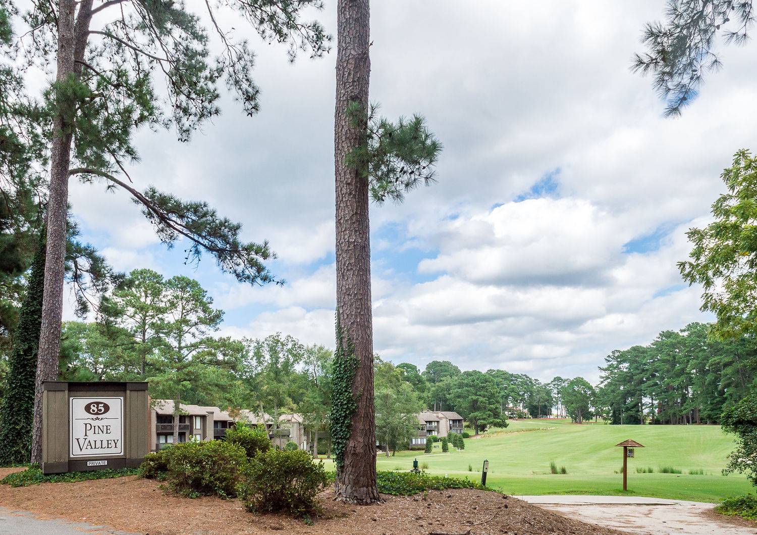 Pinehurst No. 3