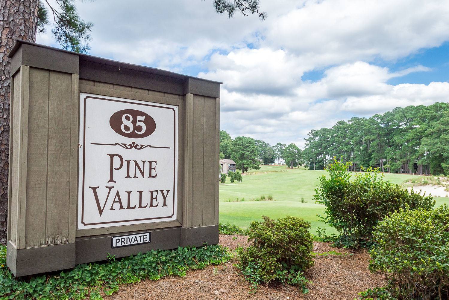 Pine Valley Condos
