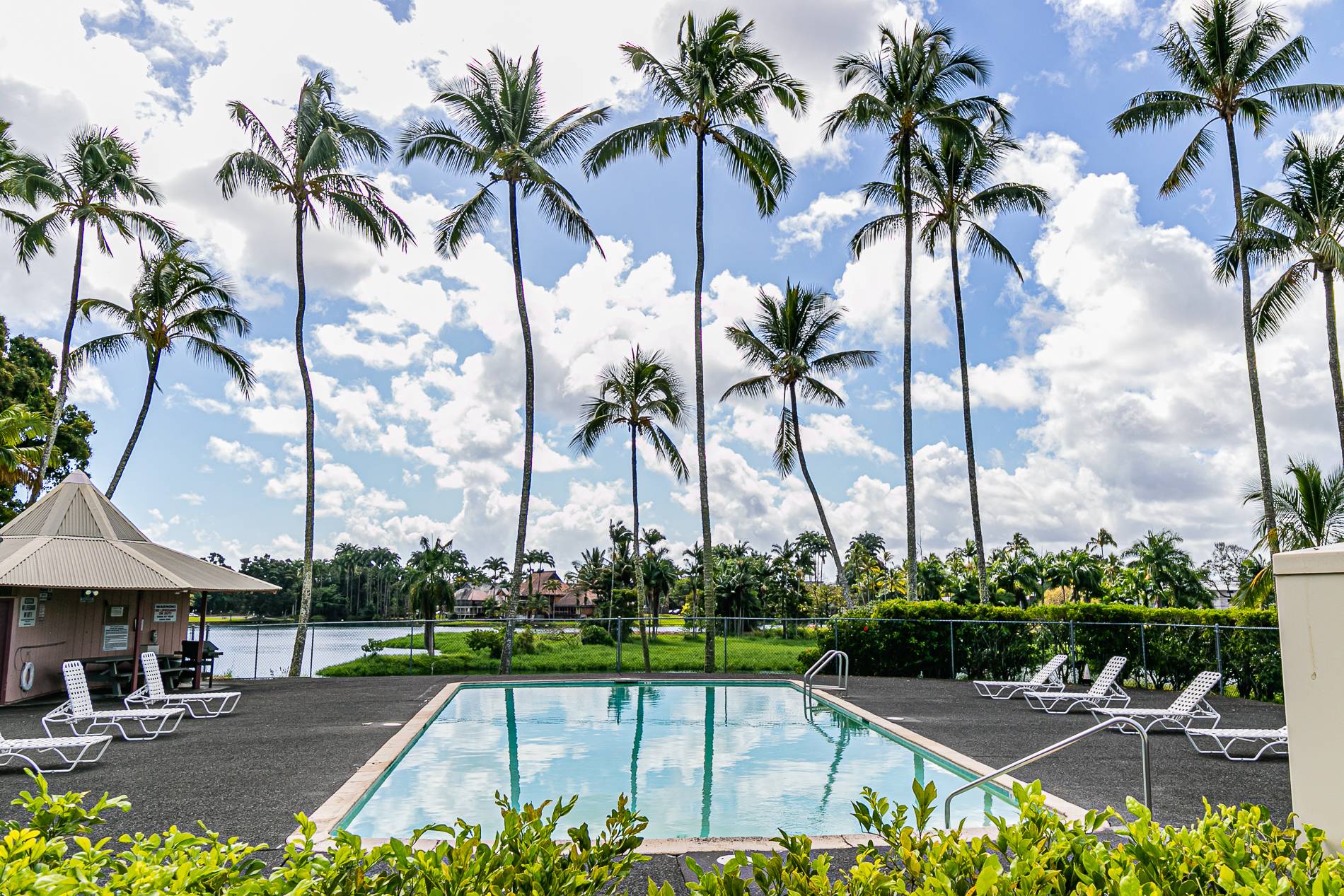 Hilo Lagoon Center 701 Salt Water Real Estate