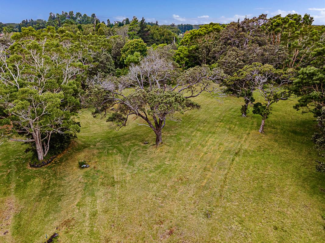 Nate's Place Volcano Salt Water Real Estate