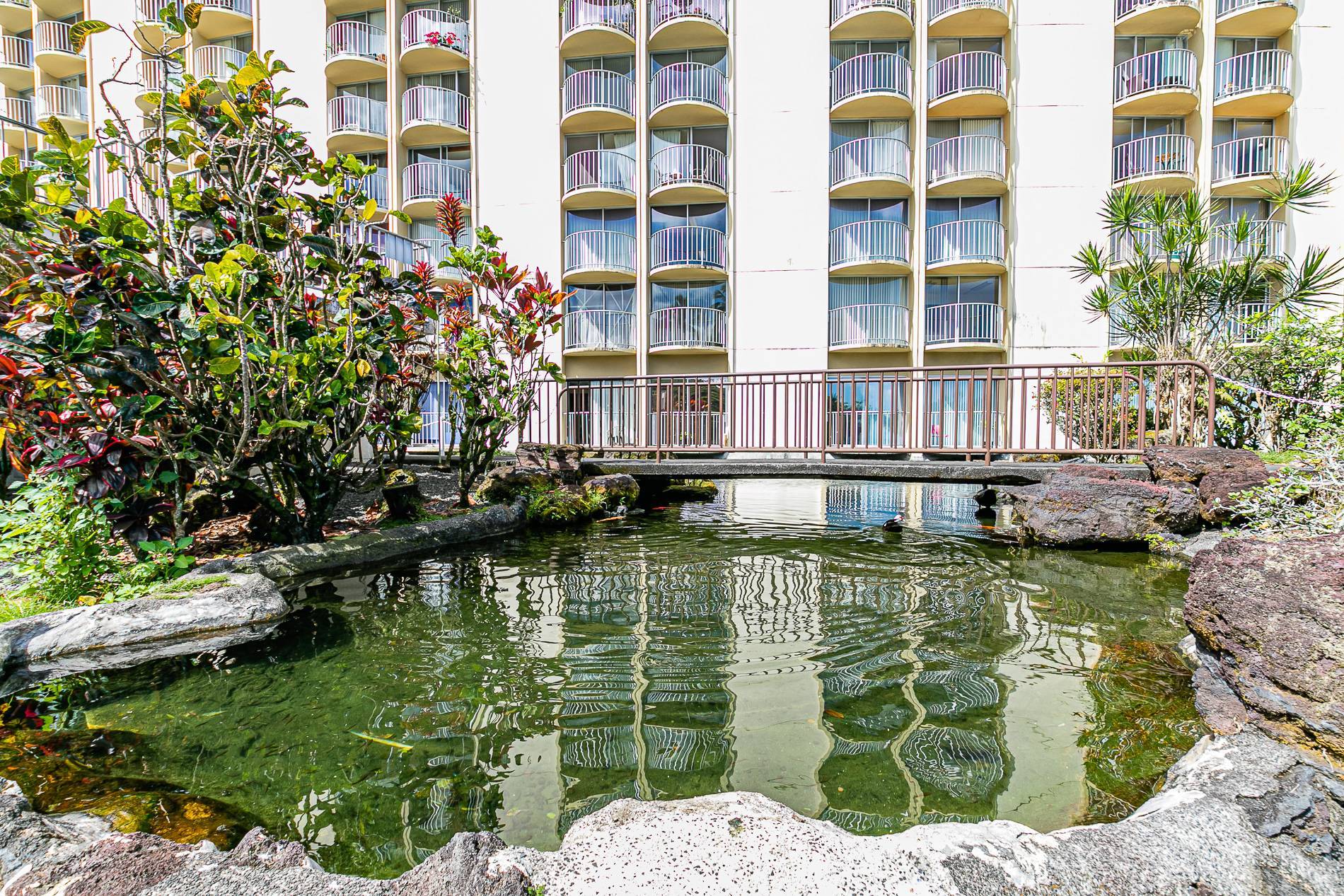 Hilo Lagoon Centre 520 Salt Water Real Estate