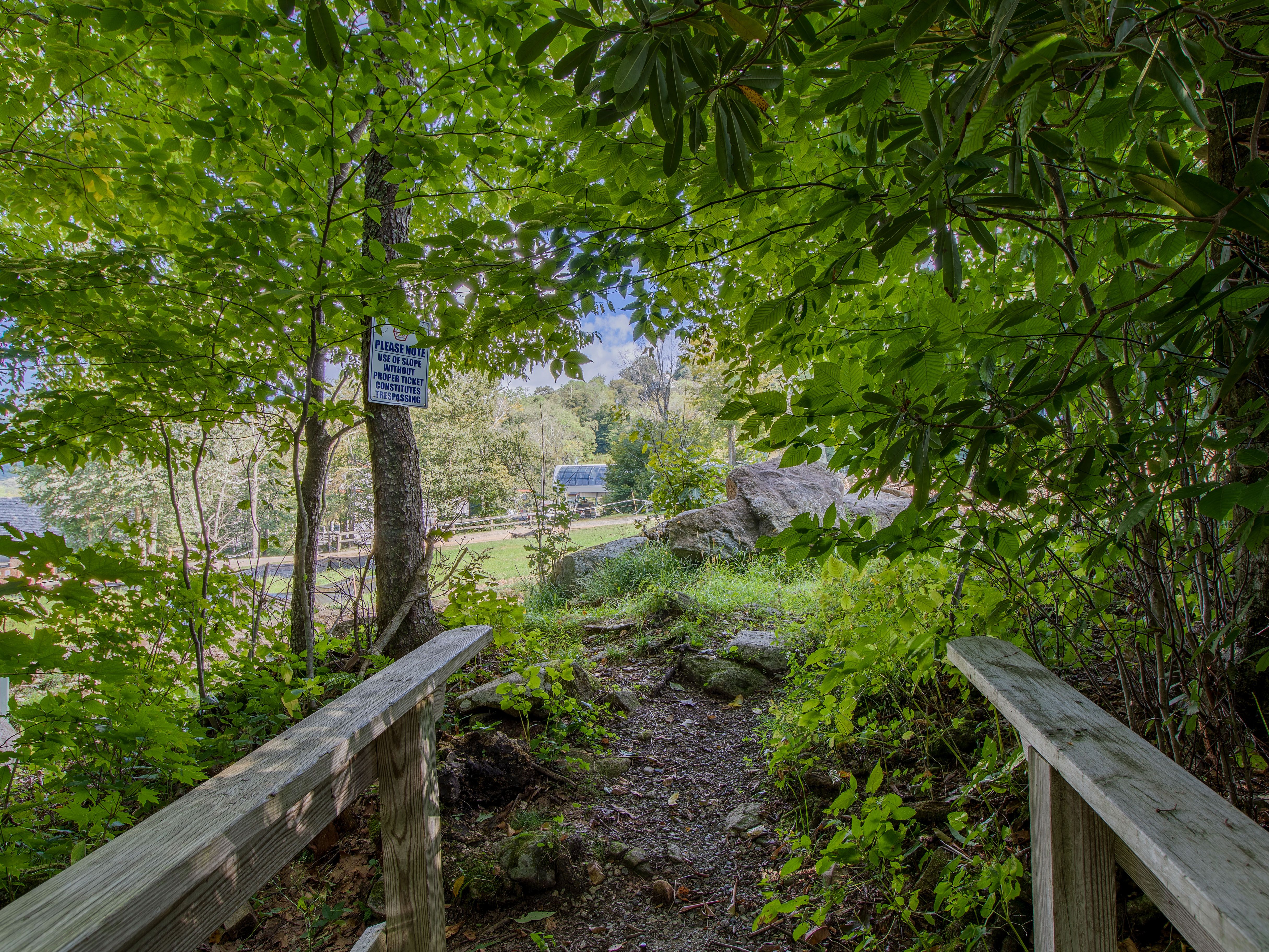 Bee Slopeside Resort Real Estate & Rentals at Sugar Mountain