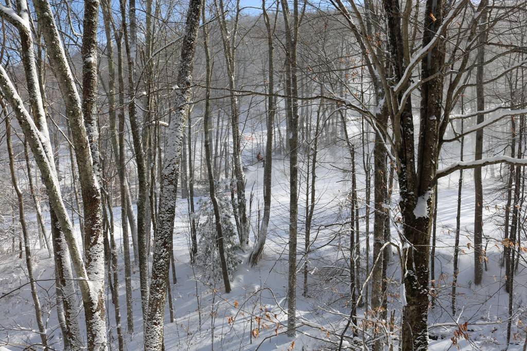 Bee Slopeside Resort Real Estate & Rentals at Sugar Mountain