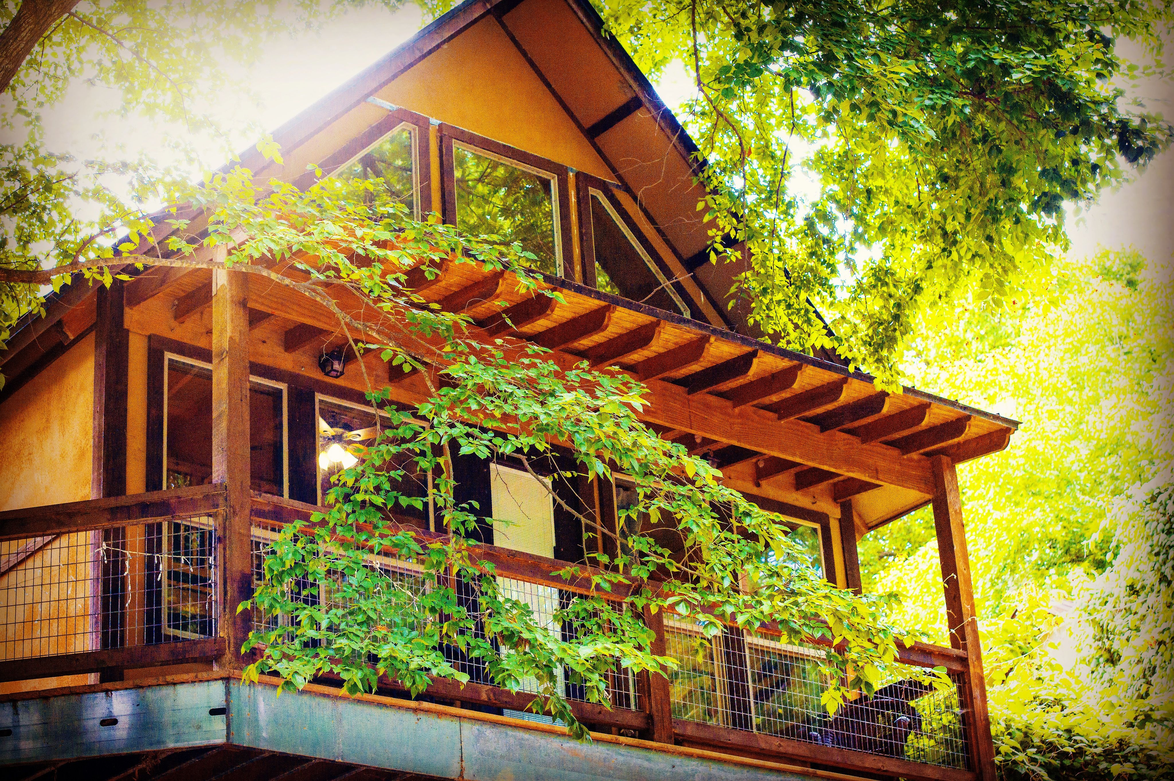 hot on homes new braunfels