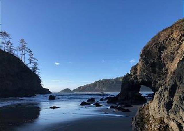 are dogs allowed at trinidad state beach