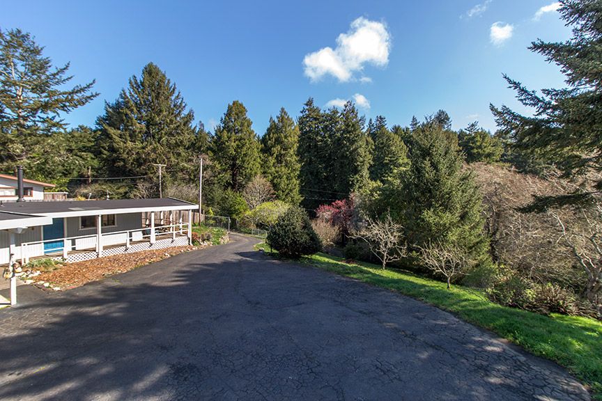 Parker Creek Cabin Dog & Paradise! Trinidad Retreats