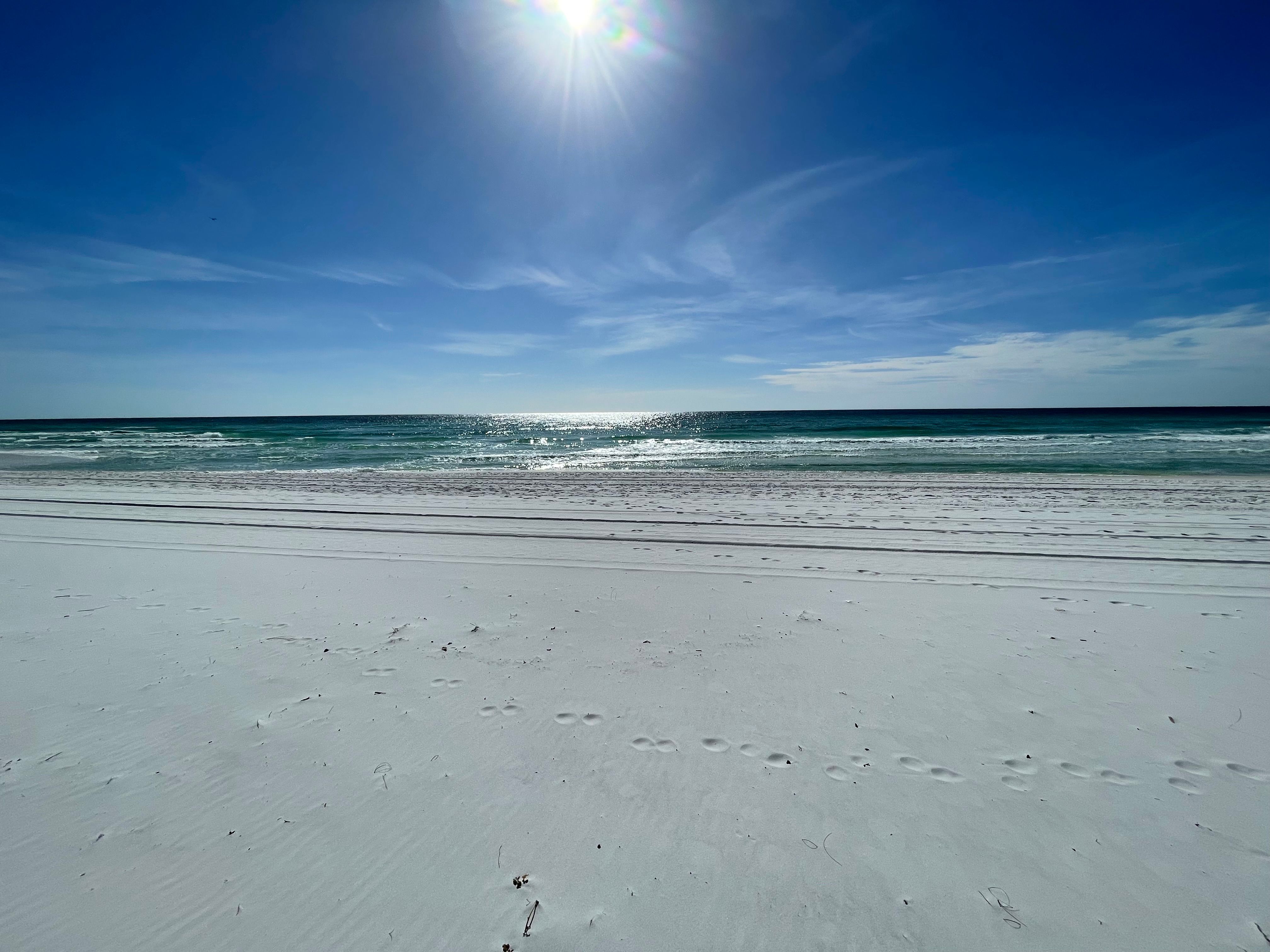 Sealoft 204 - Gulf-Front Luxury Escape / Private Beach Access