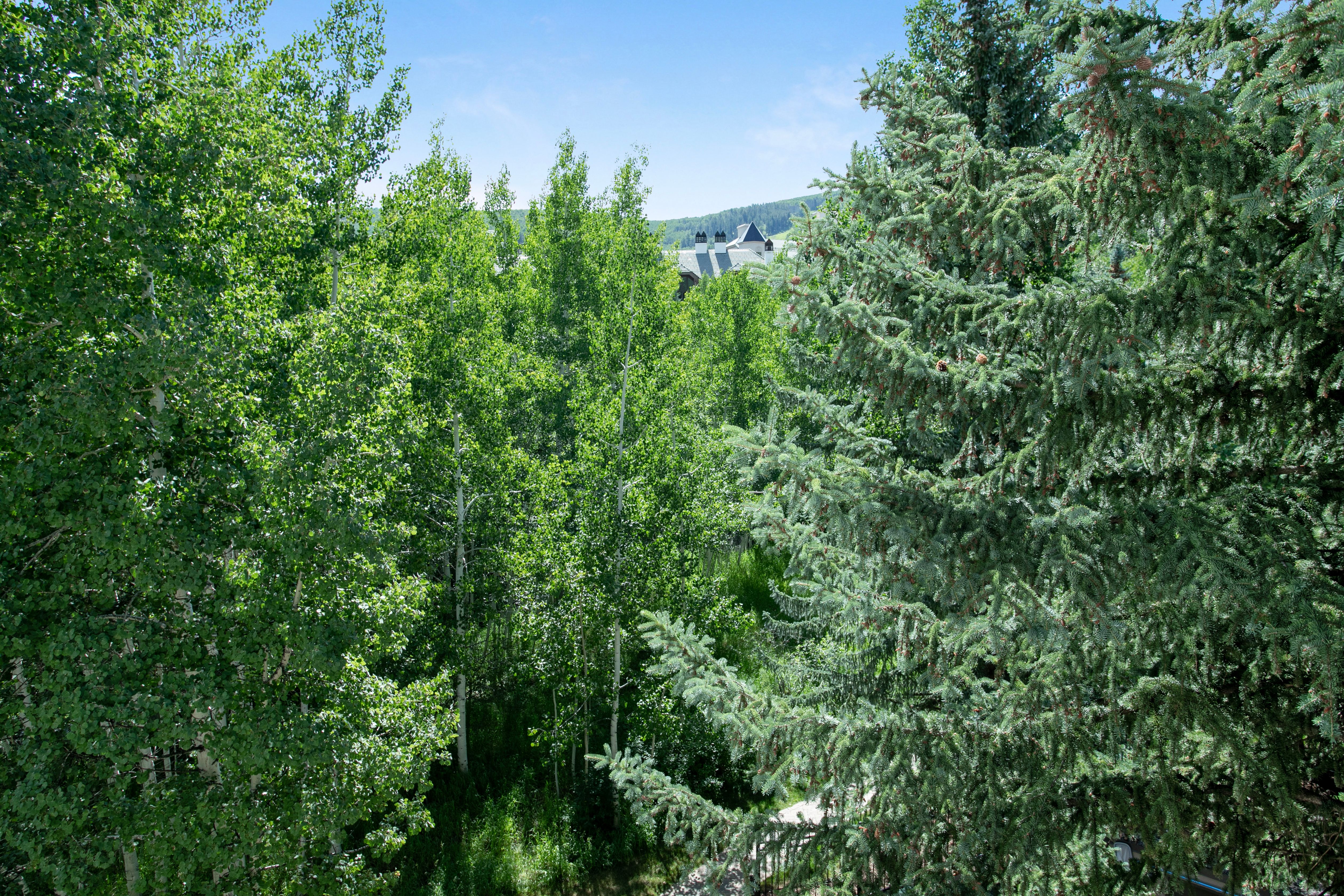 Townsend Place A305, 2BD, 2BA Condo Vail Management Company
