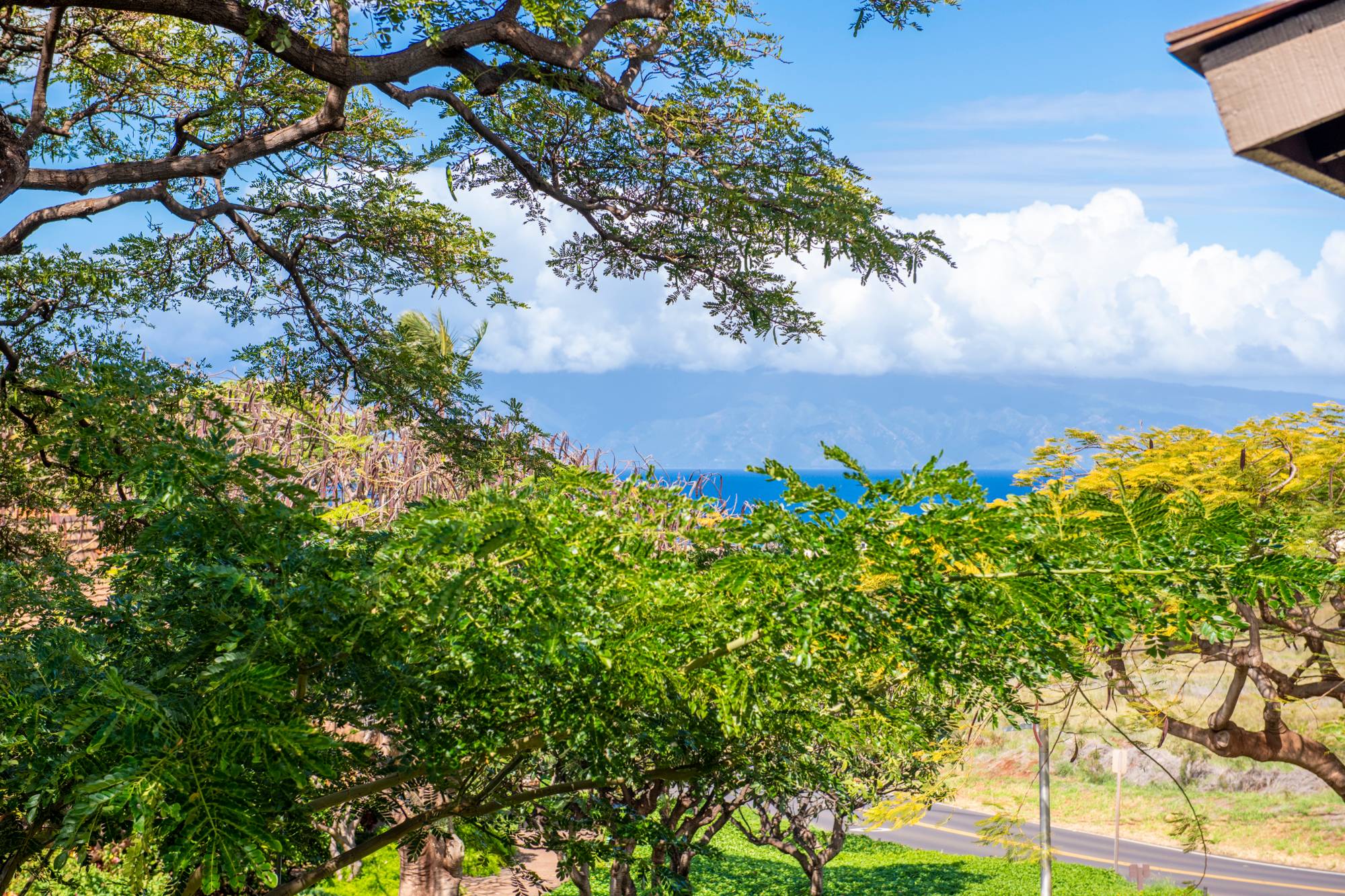 ocean view